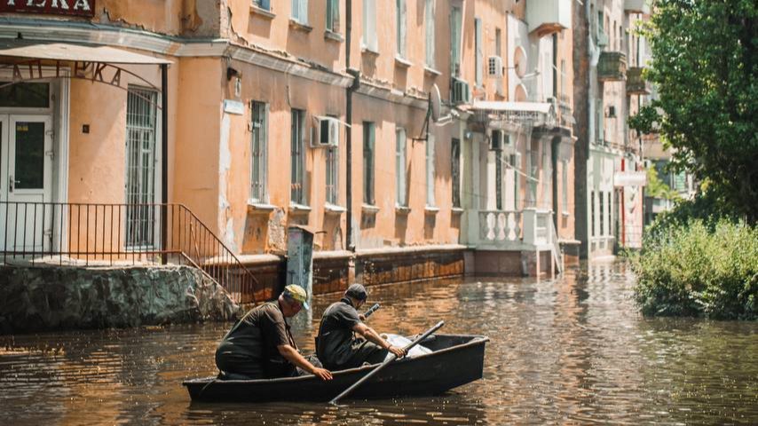 «Бабушка на улице Фиалковой в окно стучала-стучала…»